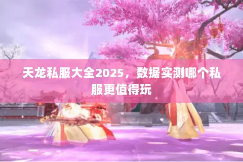 天龙私服大全2025，数据实测哪个私服更值得玩