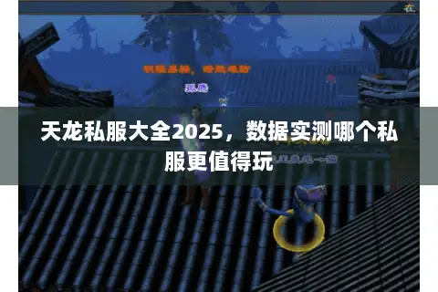 天龙私服大全2025，数据实测哪个私服更值得玩