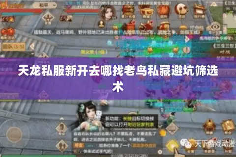 天龙私服新开去哪找老鸟私藏避坑筛选术 天龙私服新开去哪找老鸟私藏避坑筛选术