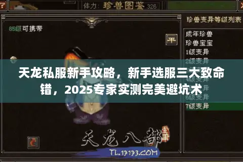 天龙私服新手攻略,新手选服三大致命错,2025专家实测完美避坑术 天龙私服新手攻略,新手选服三大致命错,2025专家实测完美避坑术