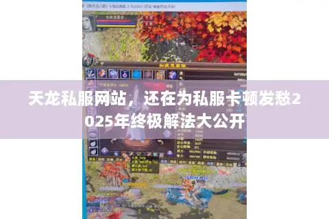 天龙私服网站，还在为私服卡顿发愁2025年终极解法大公开