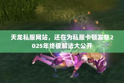 天龙私服网站，还在为私服卡顿发愁2025年终极解法大公开