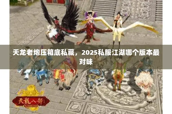 天龙老炮压箱底私藏，2025私服江湖哪个版本最对味