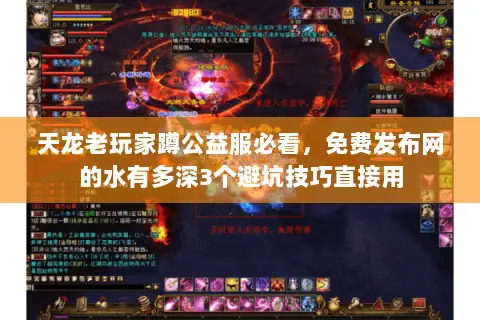 天龙老玩家蹲公益服必看，免费发布网的水有多深3个避坑技巧直接用