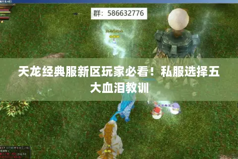 天龙经典服新区玩家必看!私服选择五大血泪教训 天龙经典服新区玩家必看!私服选择五大血泪教训