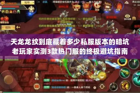 天龙龙纹到底藏着多少私服版本的暗坑老玩家实测3款热门服的终极避坑指南 天龙龙纹到底藏着多少私服版本的暗坑老玩家实测3款热门服的终极避坑指南