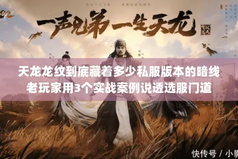 天龙龙纹到底藏着多少私服版本的暗线老玩家用3个实战案例说透选服门道 天龙龙纹到底藏着多少私服版本的暗线老玩家用3个实战案例说透选服门道