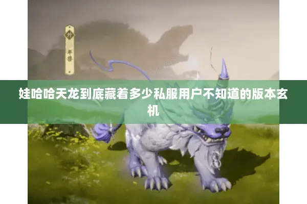 娃哈哈天龙到底藏着多少私服用户不知道的版本玄机