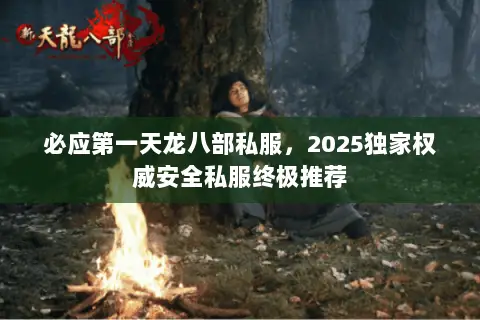 必应第一天龙八部私服，2025独家权威安全私服终极推荐