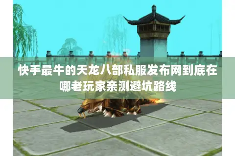 快手最牛的天龙八部私服发布网到底在哪老玩家亲测避坑路线