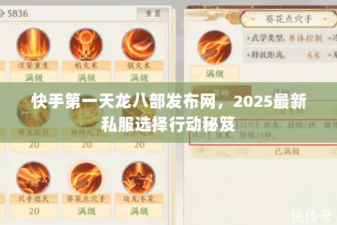 快手第一天龙八部发布网,2025最新私服选择行动秘笈 快手第一天龙八部发布网,2025最新私服选择行动秘笈