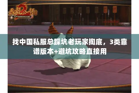 找中国私服总踩坑老玩家掏底，3类靠谱版本+避坑攻略直接用