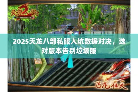 2025天龙八部私服入坑数据对决，选对版本告别垃圾服