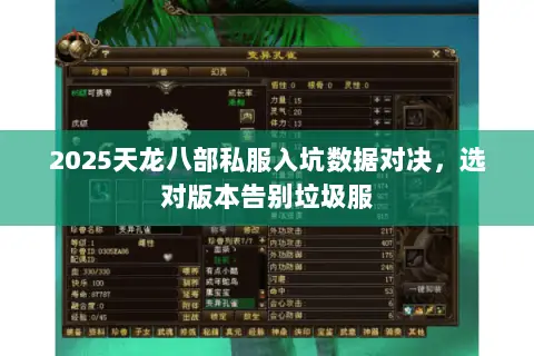 2025天龙八部私服入坑数据对决，选对版本告别垃圾服