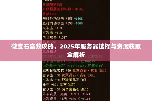 微宝石高效攻略,2025年服务器选择与资源获取全解析 微宝石高效攻略,2025年服务器选择与资源获取全解析