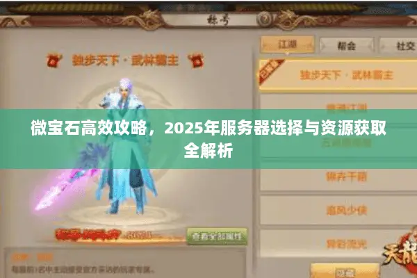 微宝石高效攻略,2025年服务器选择与资源获取全解析 微宝石高效攻略,2025年服务器选择与资源获取全解析