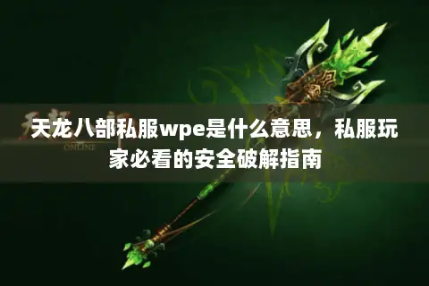 天龙八部私服wpe是什么意思，私服玩家必看的安全破解指南