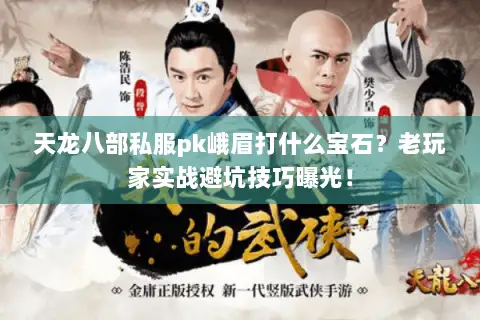 天龙八部私服pk峨眉打什么宝石?老玩家实战避坑技巧曝光! 天龙八部私服pk峨眉打什么宝石?老玩家实战避坑技巧曝光!