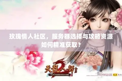 玫瑰情人社区,服务器选择与攻略资源如何精准获取? 玫瑰情人社区,服务器选择与攻略资源如何精准获取?