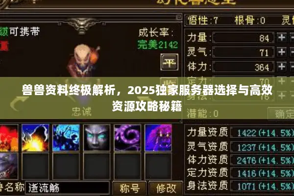 兽兽资料终极解析，2025独家服务器选择与高效资源攻略秘籍