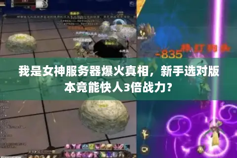 我是女神服务器爆火真相,新手选对版本竟能快人3倍战力? 我是女神服务器爆火真相,新手选对版本竟能快人3倍战力?