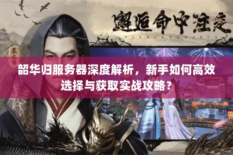 韶华归服务器深度解析,新手如何高效选择与获取实战攻略? 韶华归服务器深度解析,新手如何高效选择与获取实战攻略?