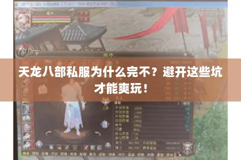 天龙八部私服为什么完不?避开这些坑才能爽玩! 天龙八部私服为什么完不?避开这些坑才能爽玩!