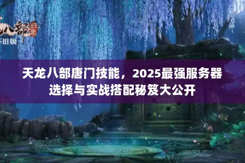 天龙八部唐门技能,2025最强服务器选择与实战搭配秘笈大公开 天龙八部唐门技能,2025最强服务器选择与实战搭配秘笈大公开