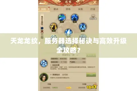 天龙龙纹,服务器选择秘诀与高效升级全攻略? 天龙龙纹,服务器选择秘诀与高效升级全攻略?