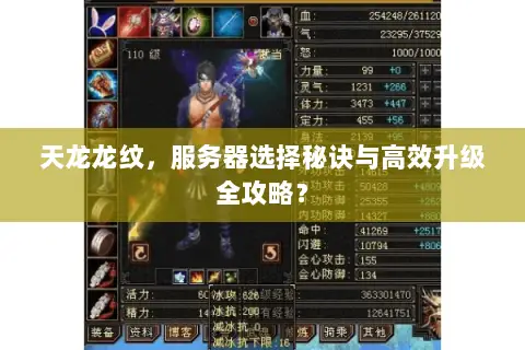 天龙龙纹,服务器选择秘诀与高效升级全攻略? 天龙龙纹,服务器选择秘诀与高效升级全攻略?