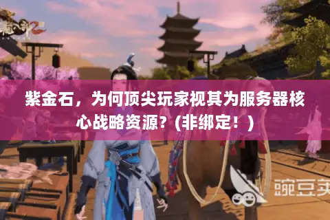 紫金石,为何顶尖玩家视其为服务器核心战略资源?(非绑定!) 紫金石,为何顶尖玩家视其为服务器核心战略资源?(非绑定!)