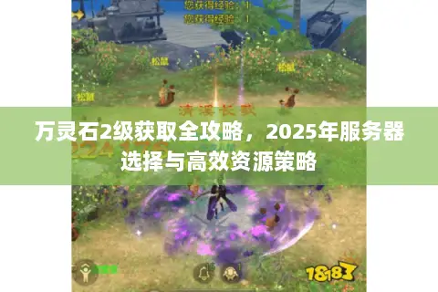 万灵石2级获取全攻略，2025年服务器选择与高效资源策略