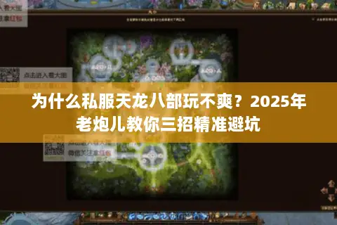 为什么私服天龙八部玩不爽？2025年老炮儿教你三招精准避坑