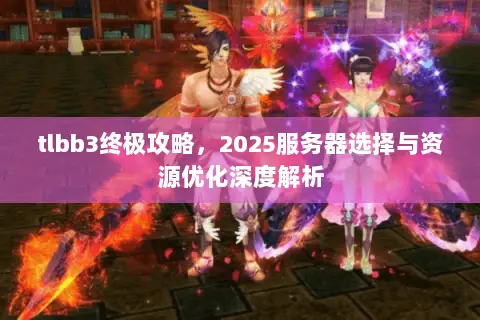 tlbb3终极攻略,2025服务器选择与资源优化深度解析 tlbb3终极攻略,2025服务器选择与资源优化深度解析