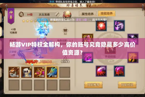 畅游VIP特权全解构,你的账号究竟隐藏多少高价值资源? 畅游VIP特权全解构,你的账号究竟隐藏多少高价值资源?