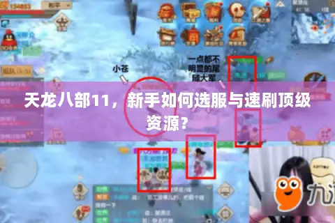 天龙八部11,新手如何选服与速刷顶级资源? 天龙八部11,新手如何选服与速刷顶级资源?