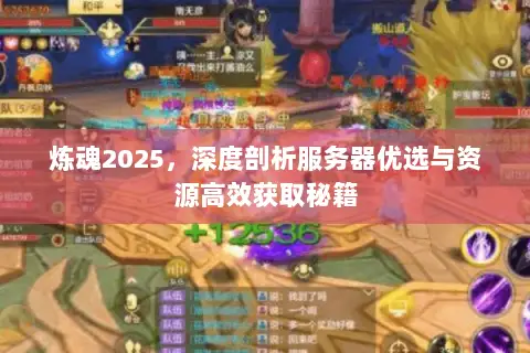 炼魂2025，深度剖析服务器优选与资源高效获取秘籍