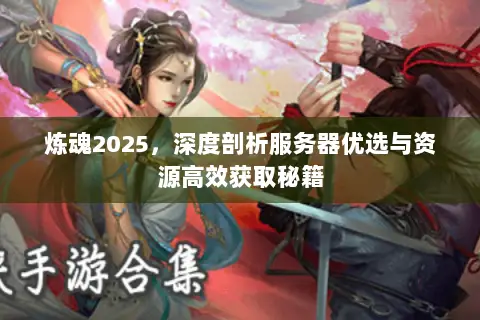 炼魂2025，深度剖析服务器优选与资源高效获取秘籍