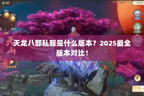 天龙八部私服是什么版本?2025最全版本对比! 天龙八部私服是什么版本?2025最全版本对比!