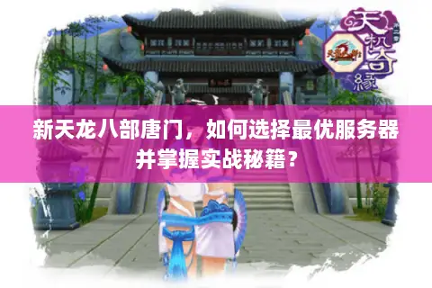 新天龙八部唐门,如何选择最优服务器并掌握实战秘籍? 新天龙八部唐门,如何选择最优服务器并掌握实战秘籍?