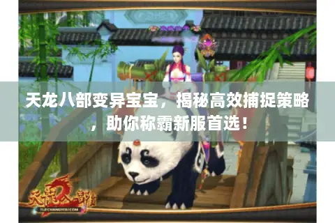 天龙八部变异宝宝,揭秘高效捕捉策略,助你称霸新服首选! 天龙八部变异宝宝,揭秘高效捕捉策略,助你称霸新服首选!