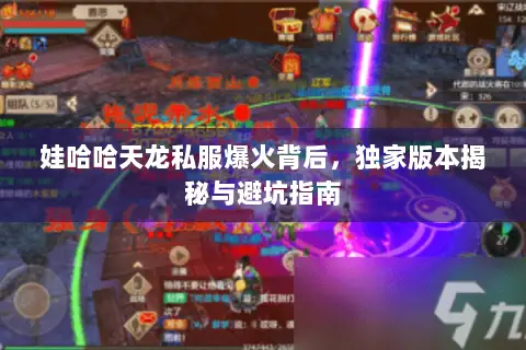 娃哈哈天龙私服爆火背后,独家版本揭秘与避坑指南 娃哈哈天龙私服爆火背后,独家版本揭秘与避坑指南