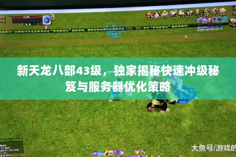 新天龙八部43级，独家揭秘快速冲级秘笈与服务器优化策略