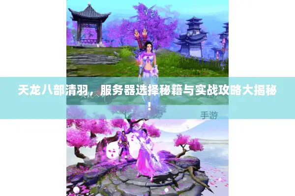 天龙八部清羽,服务器选择秘籍与实战攻略大揭秘! 天龙八部清羽,服务器选择秘籍与实战攻略大揭秘!