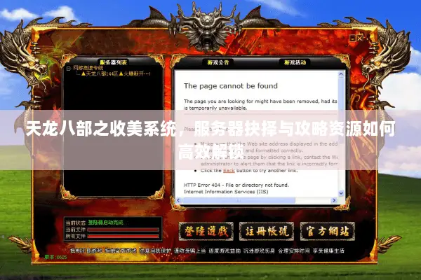 天龙八部之收美系统，服务器抉择与攻略资源如何高效解锁