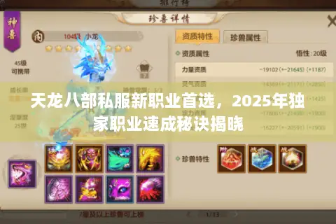 天龙八部私服新职业首选,2025年独家职业速成秘诀揭晓 天龙八部私服新职业首选,2025年独家职业速成秘诀揭晓
