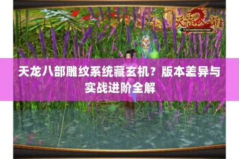 天龙八部雕纹系统藏玄机?版本差异与实战进阶全解 天龙八部雕纹系统藏玄机?版本差异与实战进阶全解