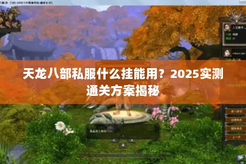 天龙八部私服什么挂能用?2025实测通关方案揭秘 天龙八部私服什么挂能用?2025实测通关方案揭秘