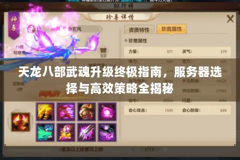 天龙八部武魂升级终极指南,服务器选择与高效策略全揭秘 天龙八部武魂升级终极指南,服务器选择与高效策略全揭秘
