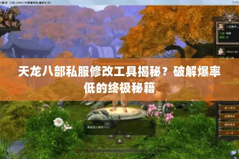 天龙八部私服修改工具揭秘?破解爆率低的终极秘籍 天龙八部私服修改工具揭秘?破解爆率低的终极秘籍